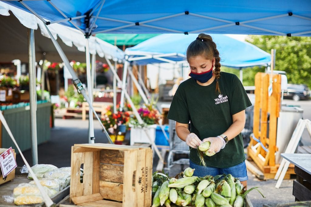 Woman at Weavers Orchard Shucking Corn