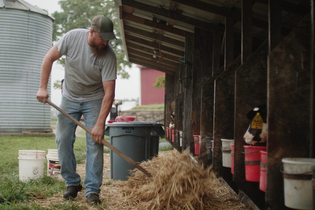 Man moving hay