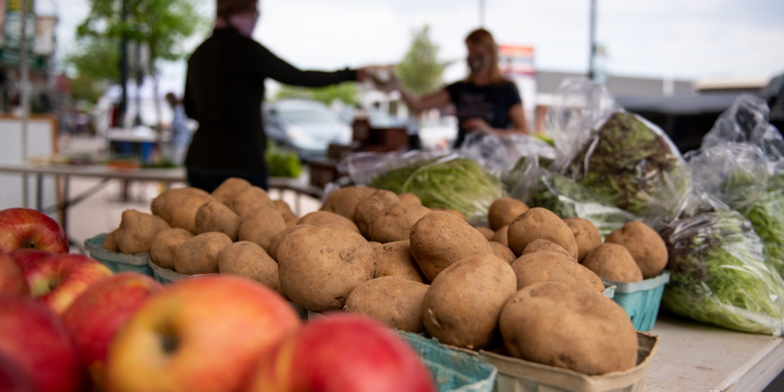 West Reading Farmers Market-27 (2)