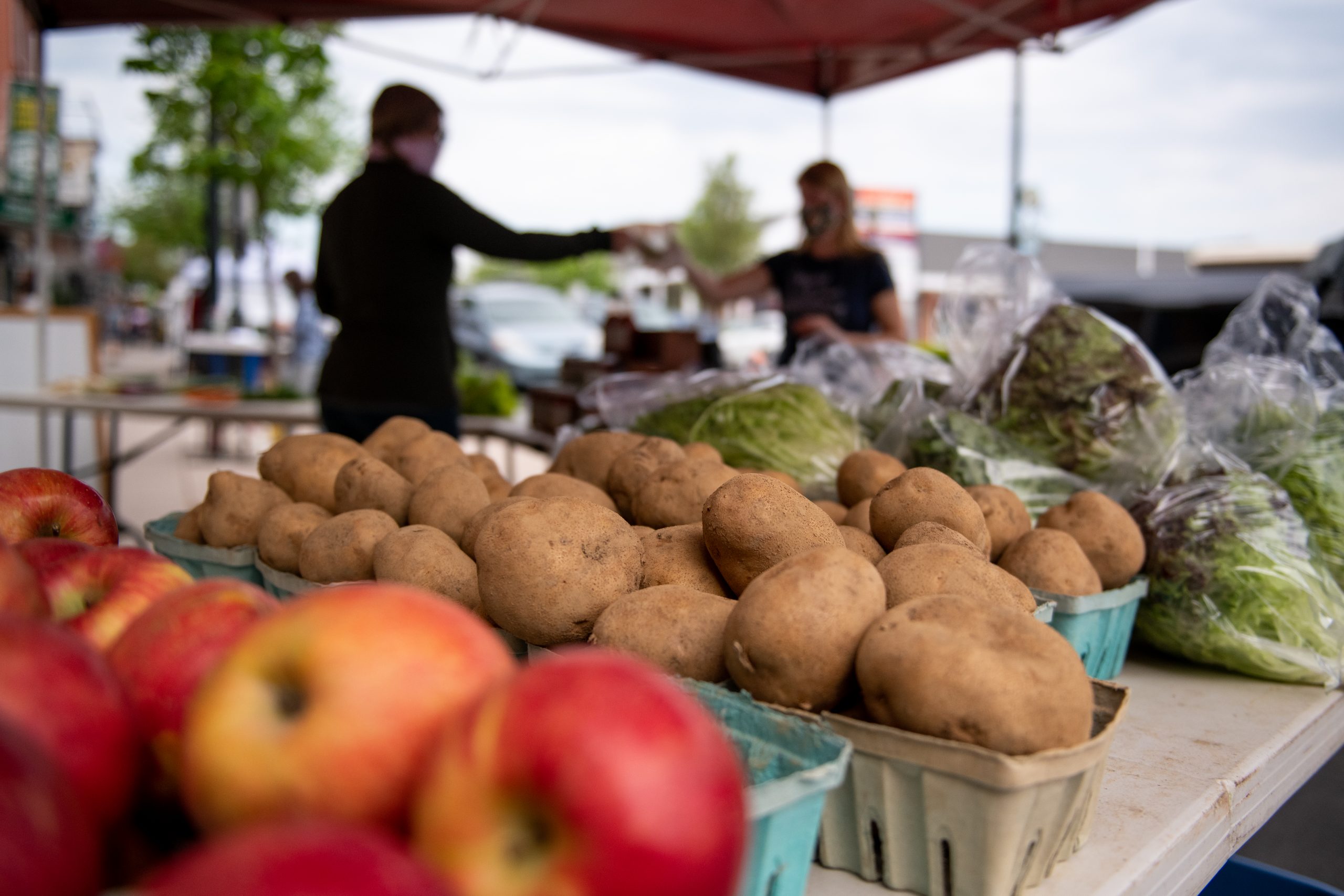 West Reading Farmers Market-27 (2)