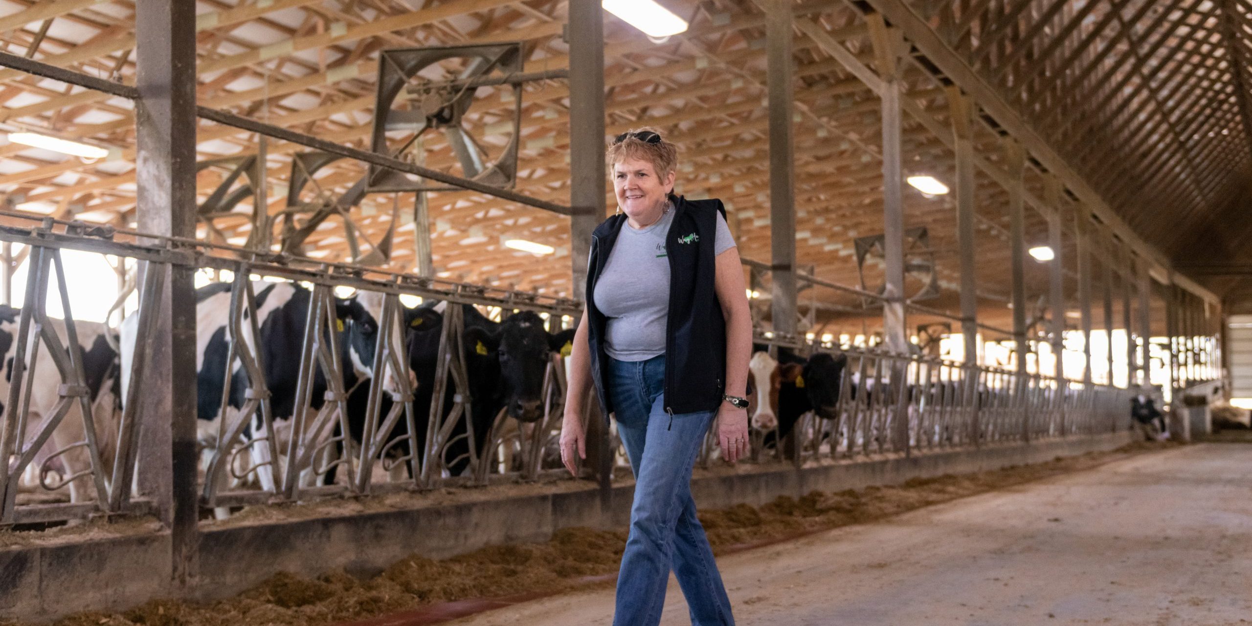 WayHar Lesher Farm-36 (1)