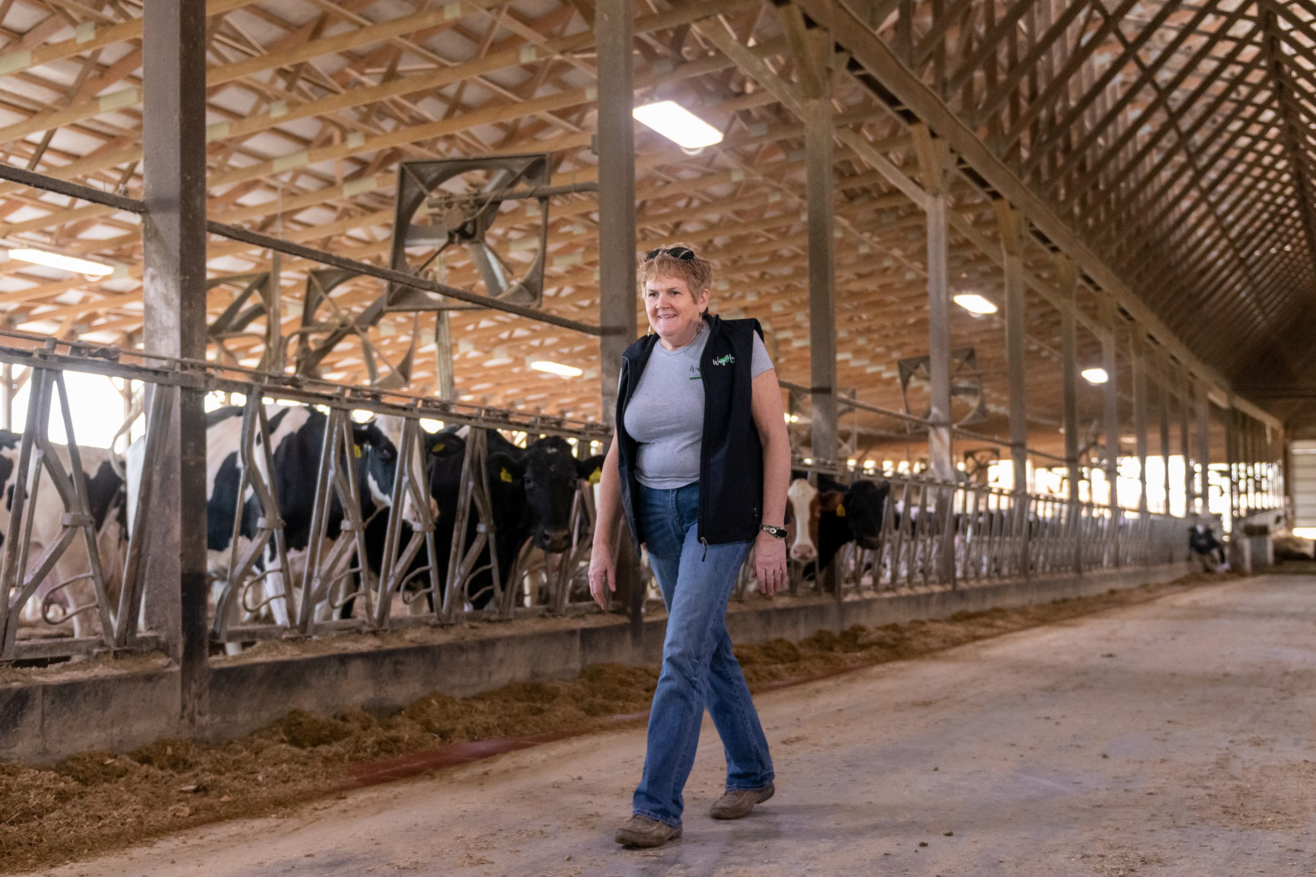 WayHar Lesher Farm-36 (1)