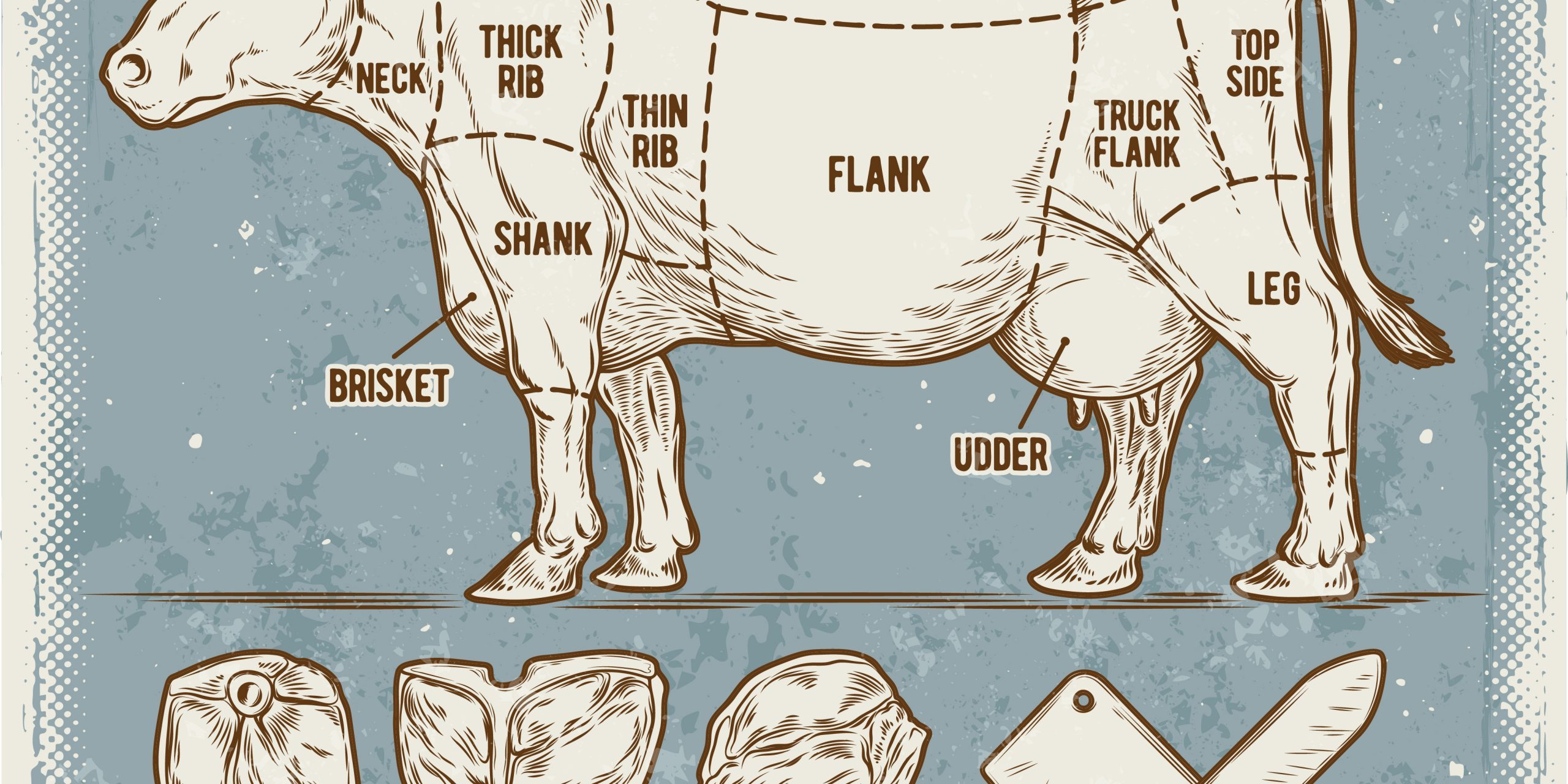 Vector illustration set cuttings of beef. Cuts of meat diagram.