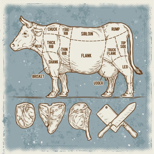 Cuts of meat diagram.