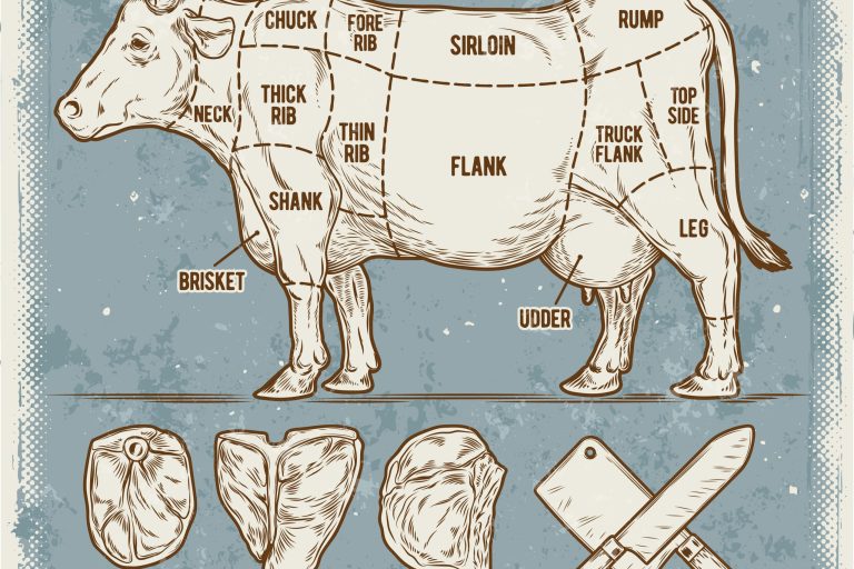 Cuts of meat diagram.