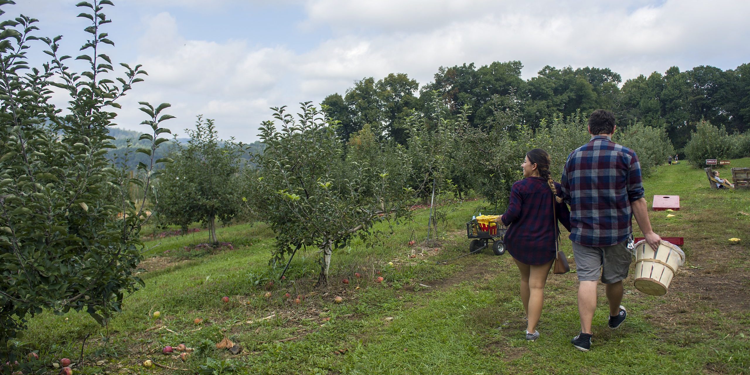 Frecon Farms Couple walking through an apple orchard in Berks County, Pennsylvania