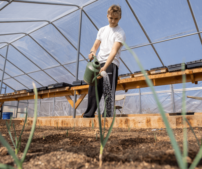 A student waters plants in a greenhouse.