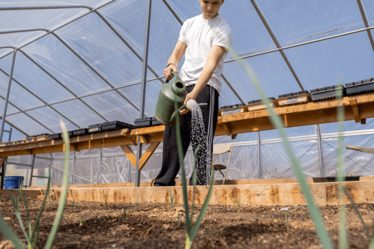 A student waters plants in a greenhouse.
