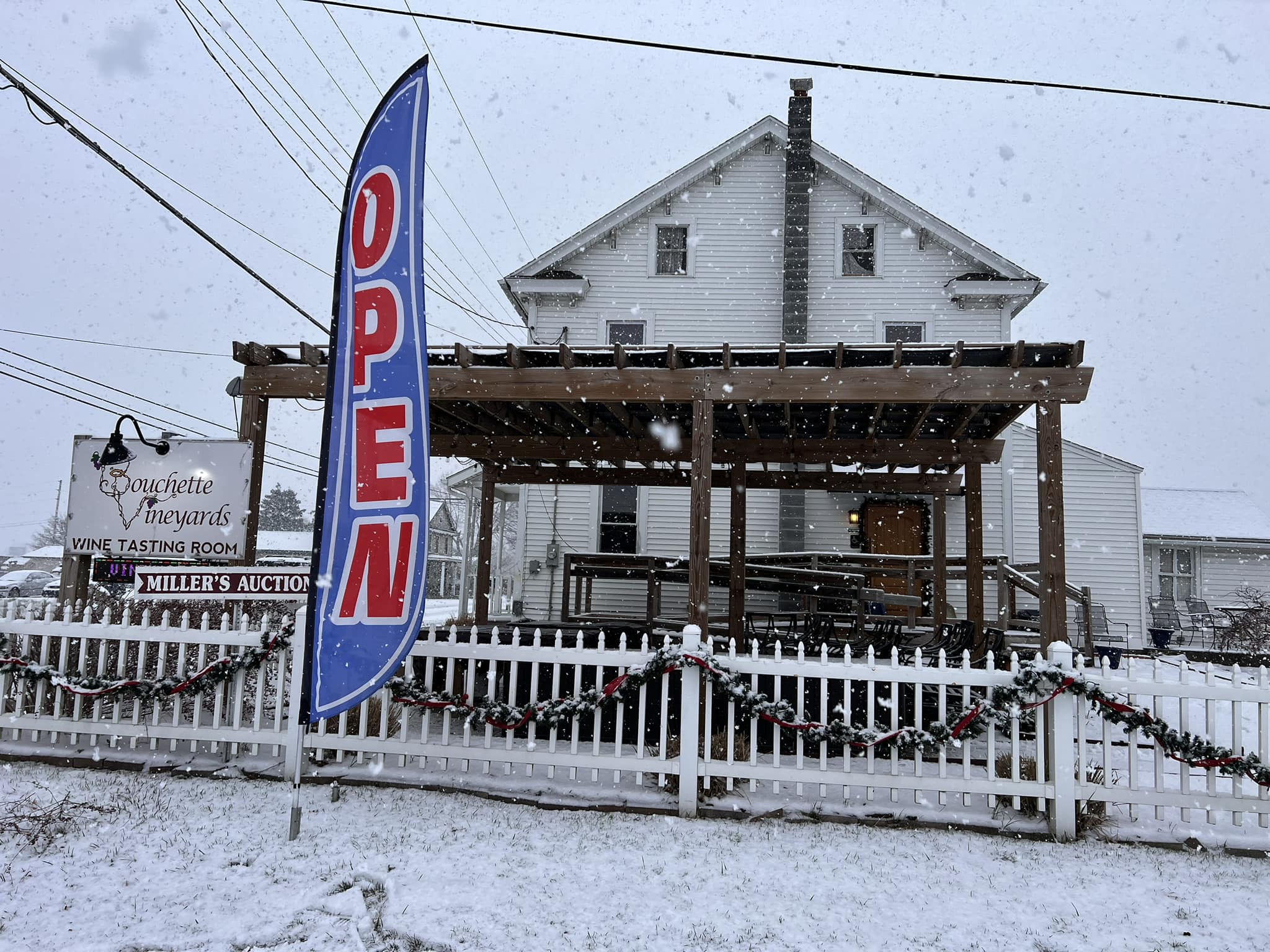 Bouchette Vineyards Grow Together