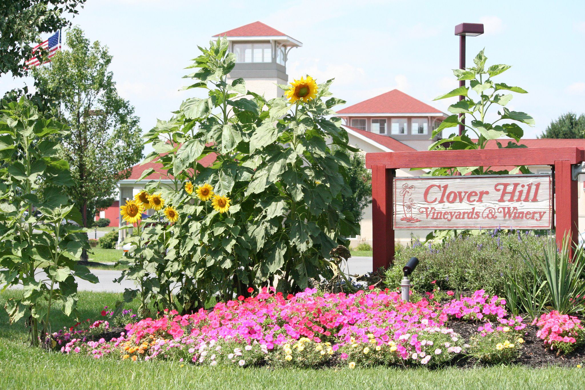 Clover Hill Vineyards & Winery Grow Together
