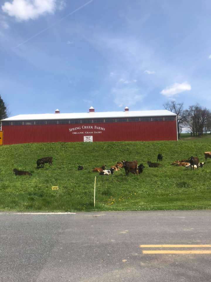 Spring Creek Farms Grow Together