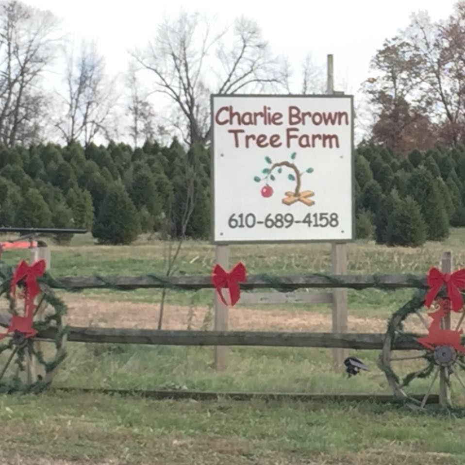 Charlie Brown Tree Farm Grow Together