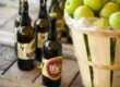 Photo of apples and hard cider from Frecon Farms