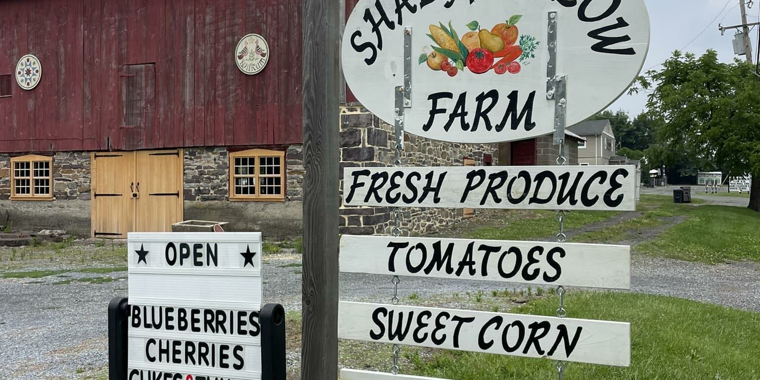 Shady Hollow Farm