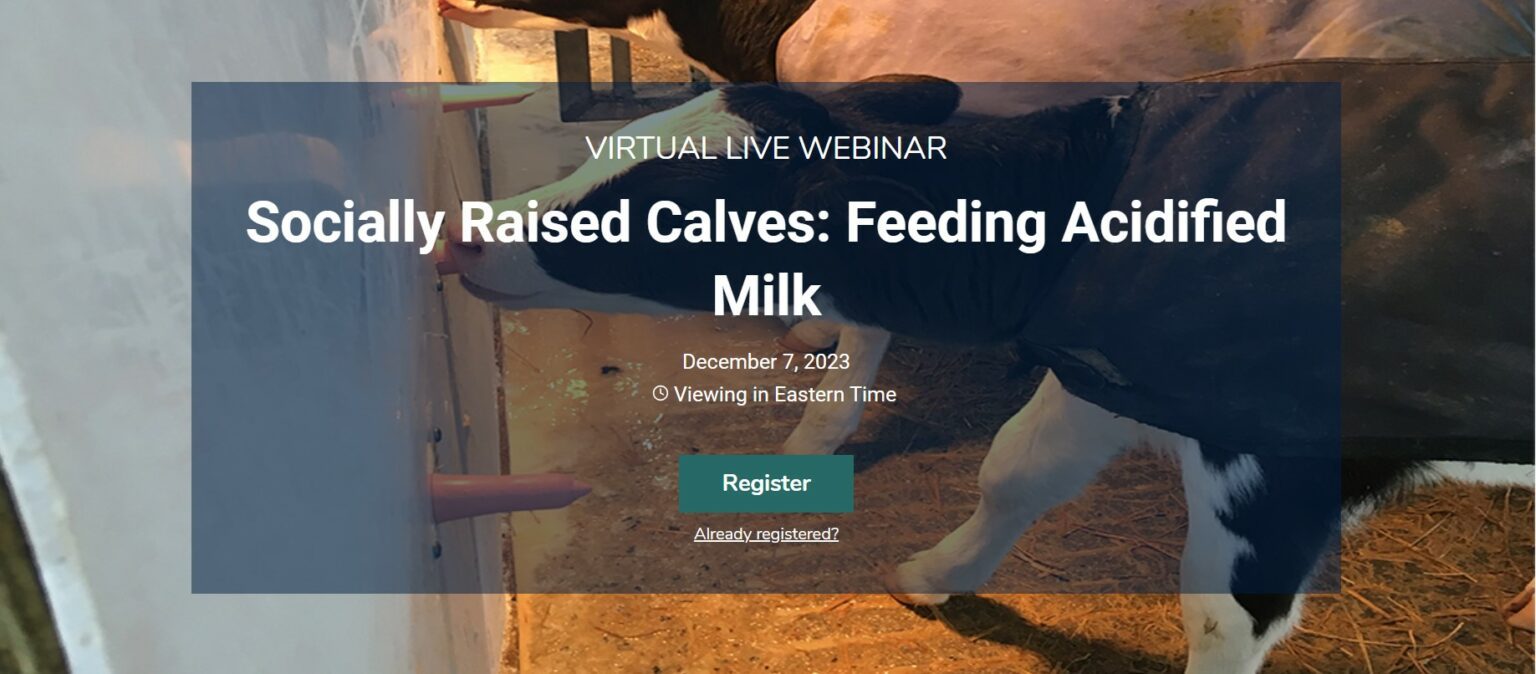 VIRTUAL LIVE WEBINAR Socially Raised Calves: Feeding Acidified Milk ...