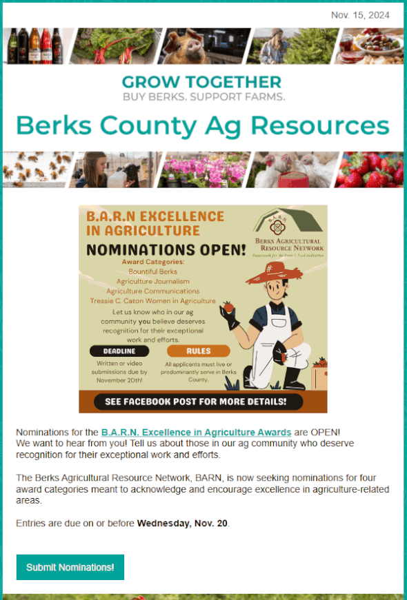 November 2024 Newsletter