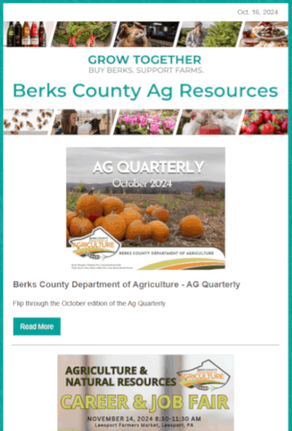 October 2024 Newsletter