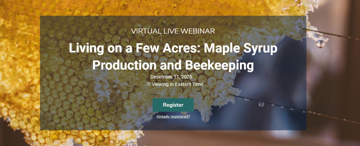 Screenshot 2025-09-26 084521