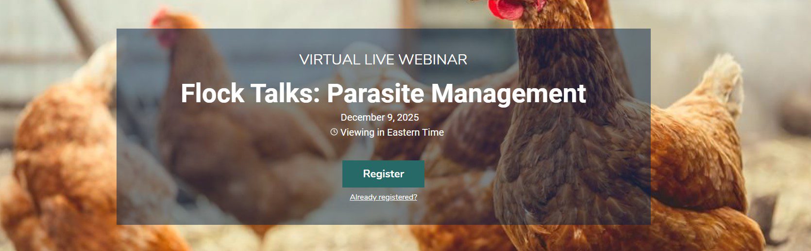 Screenshot 2025-10-15 083447